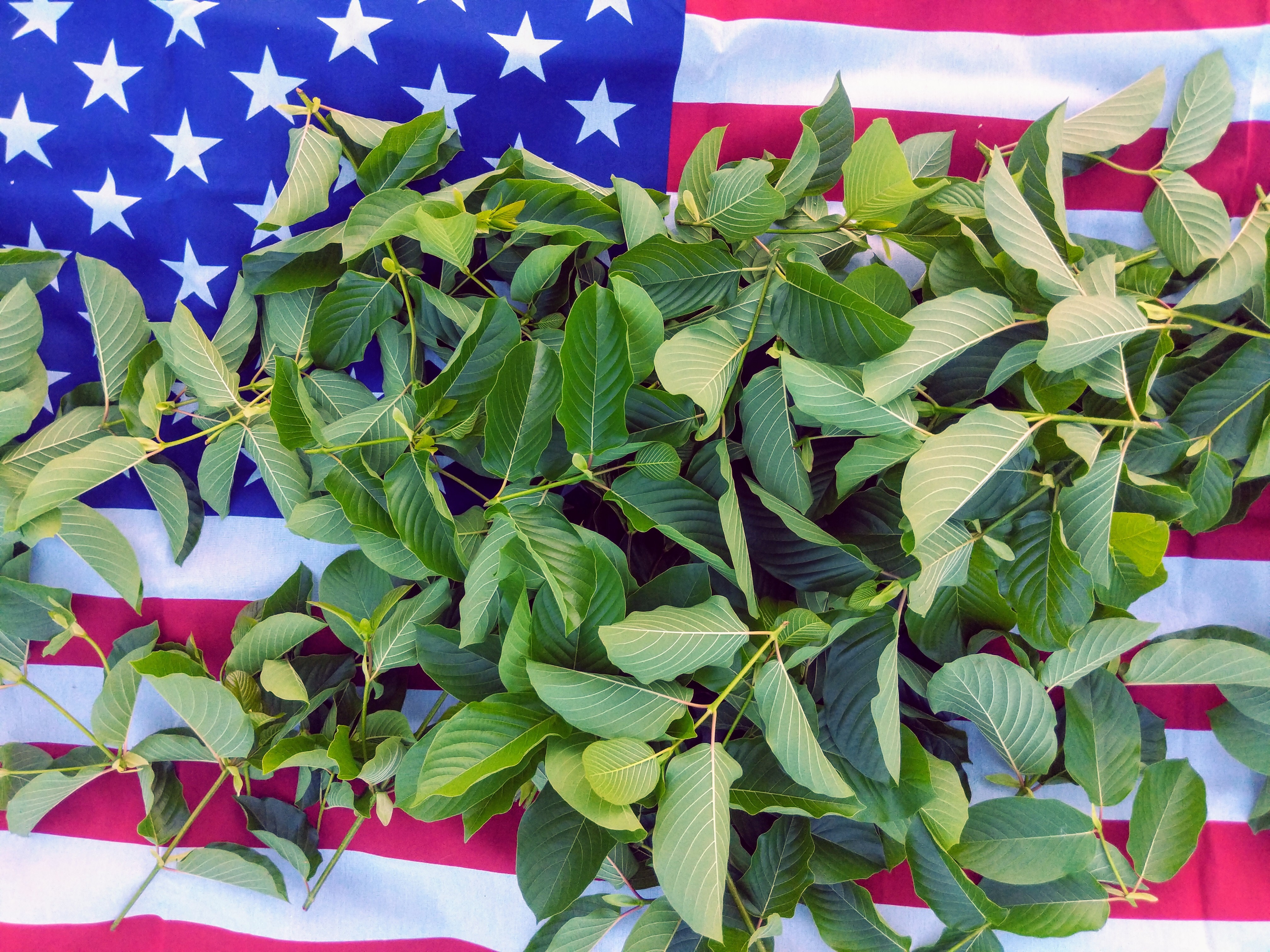 american flag with kratom