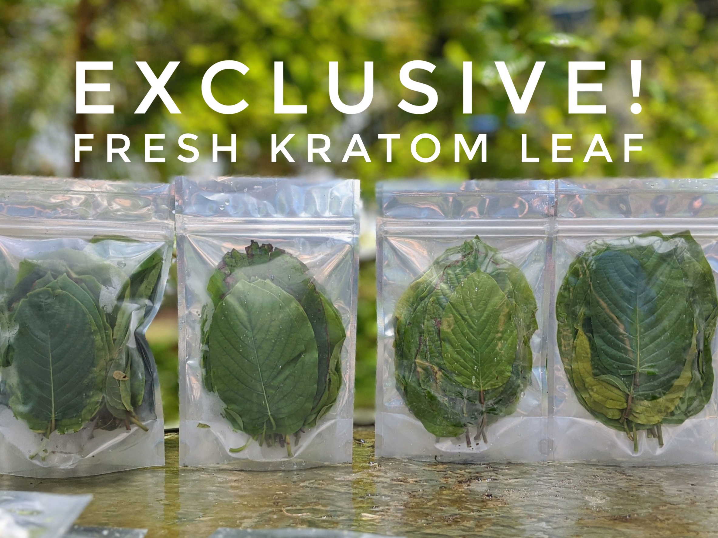 Exclusive American Kratom Leaf Promo