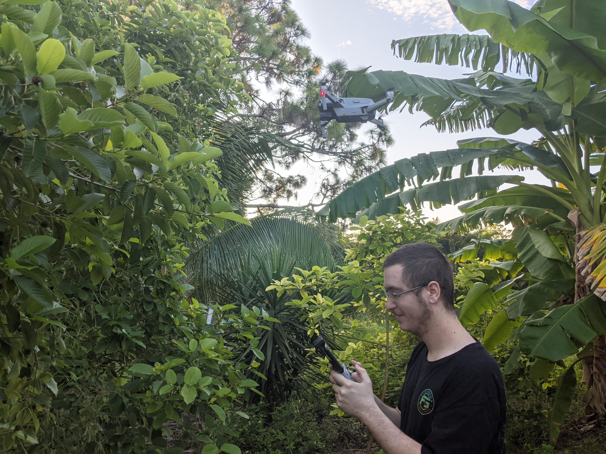 Drones and Matt documenting kratom trees