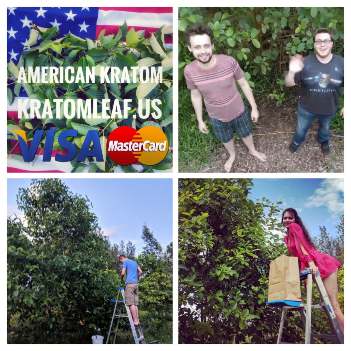 American Kratom Nursery With American Flag and tree and people with visa mastercard logo